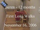 2006-11-16.playtime.baby_12_months.first_long_walks.seren-snyder.video.720x480-72meg.livonia.mi.us.mpg