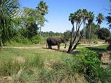 2006-10-24.safari.3.animal_kingdom.orlando.fl.us.jpg