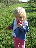 2007-10-09.farm.orchard.apple.18.seren-snyder-sandy.plymouth.mi.us.jpg