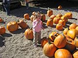 2007-10-09.farm.pumpkin_patch.52.alex.plymouth.mi.us.jpg