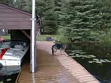 1999-08-24.dock.schone.1.lake_cabin.cook.mn.us.jpg
