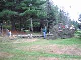 2005-08-21.dead_tree.cutting.down.6.felled.lake_cabin.cook.mn.us.jpg