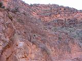 2007-11-17.canyon_embark_descent.bright_angel_trail.59.grand_canyon.az.us.jpg