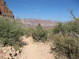 2007-11-17.canyon_return_ascent.bright_angel_trail.028.grand_canyon.az.us.jpg
