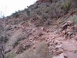 2007-11-17.canyon_return_ascent.bright_angel_trail.055.grand_canyon.az.us.jpg