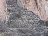 2007-11-17.canyon_return_ascent.bright_angel_trail.108.grand_canyon.az.us.jpg
