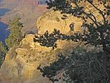2007-11-17.canyon_return_ascent.bright_angel_trail.131.grand_canyon.az.us.jpg