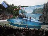 2004-07-09.2.safari_world.dolphins.video.320x240-6.2meg.bangkok.th.avi