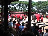 2004-07-10.tropical_gardens.elephant_show.3.nong_nooch.th.jpg