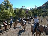2000-09-03.saddle_up.after.brunch.horse_trail.nessa-nancy-snyder.flying_x_ranch.wheatland.wy.us.jpg