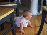 Seren is now crawling