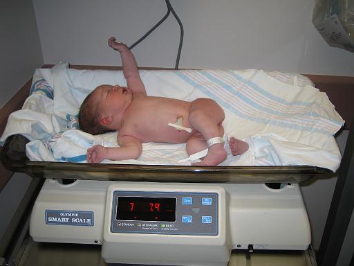 2005-11-23.portrait.hospital.baby_newborn.scale.7_lbs_8_ozs.seren-snyder.1.southfield.mi.us 