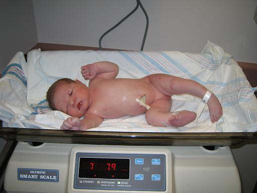 2005-11-23.portrait.hospital.baby_newborn.scale.7_lbs_8_ozs.seren-snyder.2.southfield.mi.us 