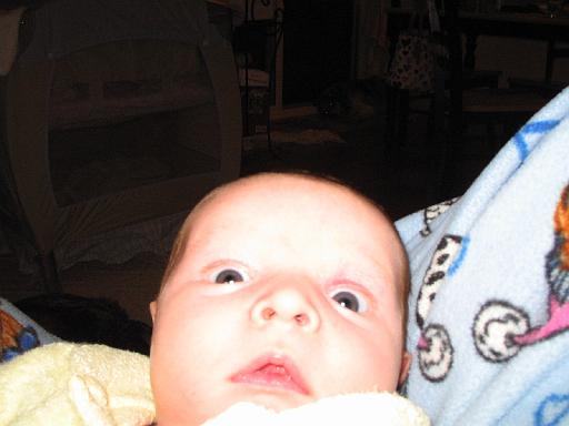 2005-12-22.portrait.baby_newborn.seren-snyder.6.livonia.mi.us 