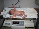 2005-11-23.portrait.hospital.baby_newborn.scale.7_lbs_8_ozs.seren-snyder.1.southfield.mi.us.jpg