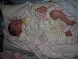 2005-11-29.portrait.baby_newborn.seren-snyder.1.livonia.mi.us