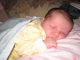 2005-12-21.portrait.baby_newborn.seren-snyder.3.livonia.mi.us