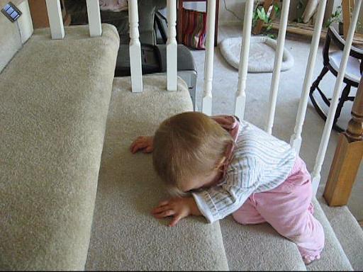 2006-10-07.playtime.baby_10_months.seren-snyder.squeals.stairs.video.640x480-33meg.livonia.mi.us 