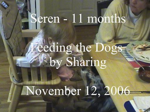 2006-11-12.feeding.baby_11_months.dog.seren-snyder.video.720x480-79meg.livonia.mi.us 