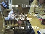 2006-11-12.feeding.baby_11_months.dog.seren-snyder.video.720x480-79meg.livonia.mi.us.mpg