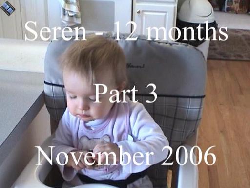 2006-11-00.playtime.baby_12_months.seren-snyder.video.720x480-130meg.part3of3.livonia.mi.us 
