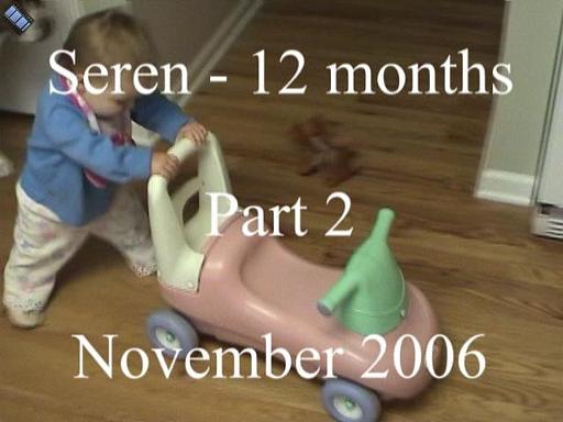 2006-11-00.playtime.baby_12_months.seren-snyder.video.720x480-83meg.part2of3.livonia.mi.us 