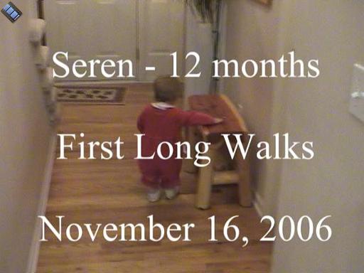 2006-11-16.playtime.baby_12_months.first_long_walks.seren-snyder.video.720x480-72meg.livonia.mi.us 