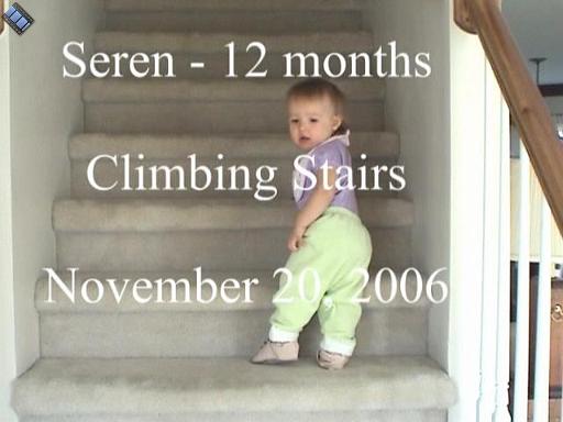 2006-11-20.playtime.baby_12_months.climbing_stairs.seren-snyder.video.720x480-72meg.livonia.mi.us 