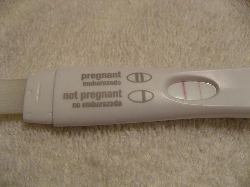 2006-11-30.pregnancy_test.nessa-ronan-snyder.1.livonia.mi.us 