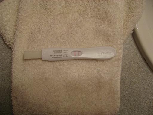 2006-11-30.pregnancy_test.nessa-ronan-snyder.2.livonia.mi.us 