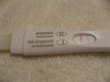 2006-11-30.pregnancy_test.nessa-ronan-snyder.1.livonia.mi.us.jpg