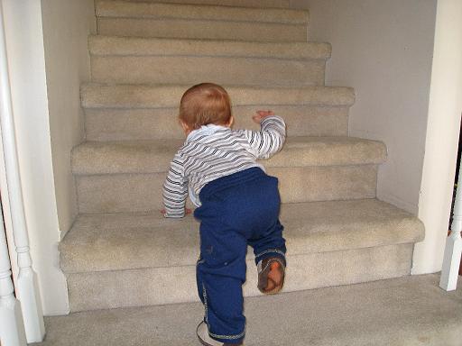 2008-03-29.portrait.baby_08_months.11.ronan-snyder.climbing_stairs.livonia.mi.us 