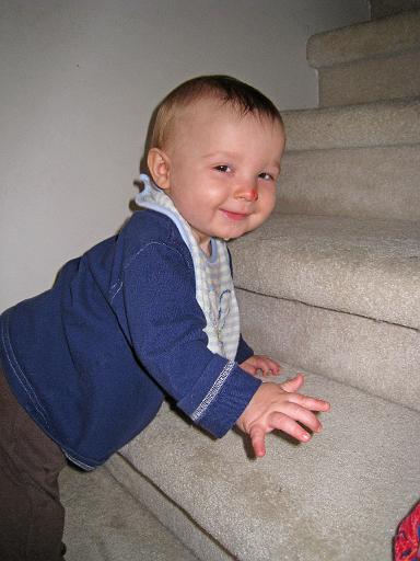 2008-04-07.portrait.baby_08_months.17.ronan-snyder.climbing_stairs.livonia.mi.us 