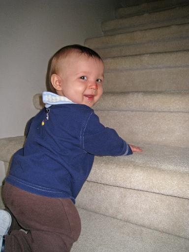 2008-04-07.portrait.baby_08_months.18.ronan-snyder.climbing_stairs.livonia.mi.us 