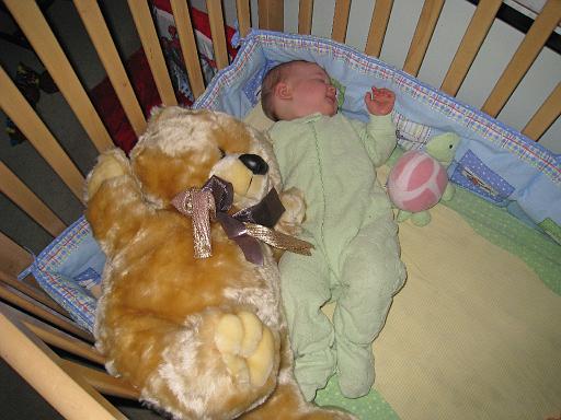 2008-04-08.portrait.baby_08_months.20.ronan-snyder.livonia.mi.us 