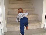 2008-03-29.portrait.baby_08_months.11.ronan-snyder.climbing_stairs.livonia.mi.us.jpg