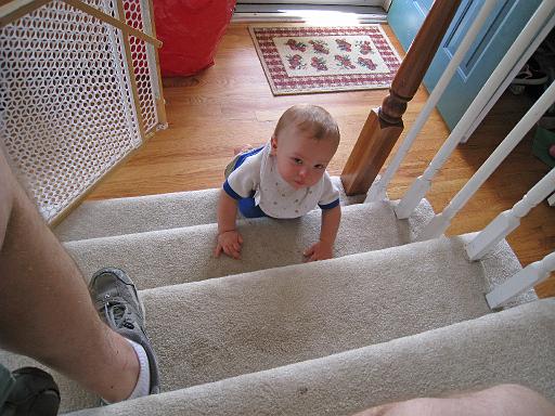 2008-05-26.climbing_stairs.baby_10_months.001.ronan-snyder.livonia.mi.us 