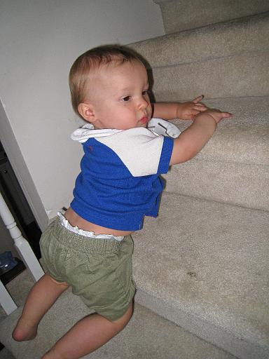 2008-05-26.climbing_stairs.baby_10_months.006.ronan-snyder.livonia.mi.us 