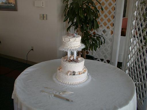 2002-05-11.wedding.kevin-nessa.before.reception.prep.4.cake.venice.fl.us 