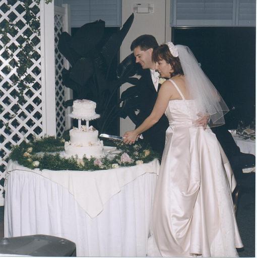 2002-05-11.wedding.kevin-nessa.reception.cake.kevin-nessa-snyder.1.venice.fl.us 