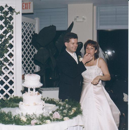 2002-05-11.wedding.kevin-nessa.reception.cake.kevin-nessa-snyder.4.venice.fl.us 
