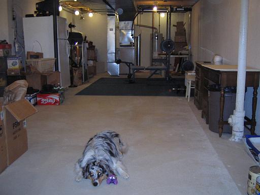2004-09-01.basement.organized.1.livonia.mi.us 
