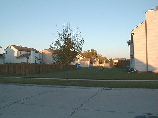 2003-10-13.yard.before.fence.2.livonia.mi.us 