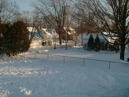 1999-01-17.winter.yard_back.joe-annette.1.redford.mi.us 