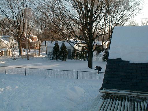1999-01-17.winter.yard_back.joe-annette.2.redford.mi.us 