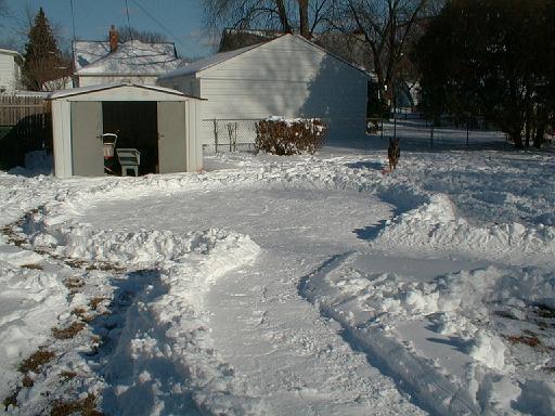 1999-01-17.winter.yard_back.rc_track-buggy.2.redford.mi.us 