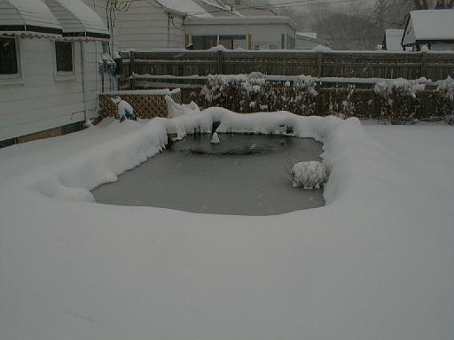 1999-01-04.pond.snow.1.redford.mi.us 