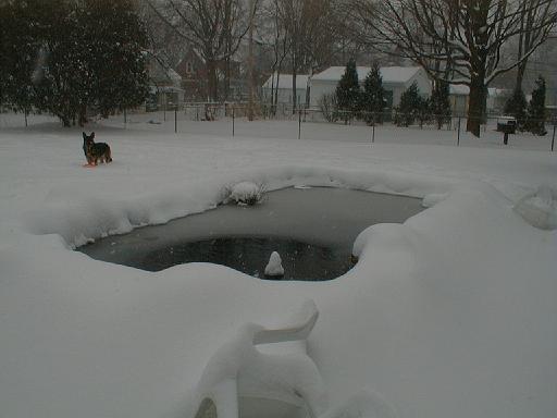 1999-01-04.pond.snow.2.redford.mi.us 