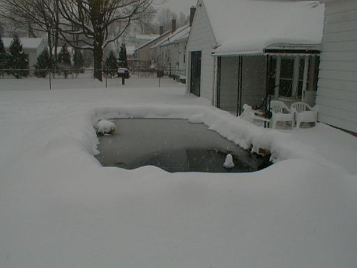 1999-01-04.pond.snow.3.redford.mi.us 