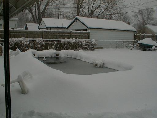 1999-01-04.pond.snow.4.redford.mi.us 